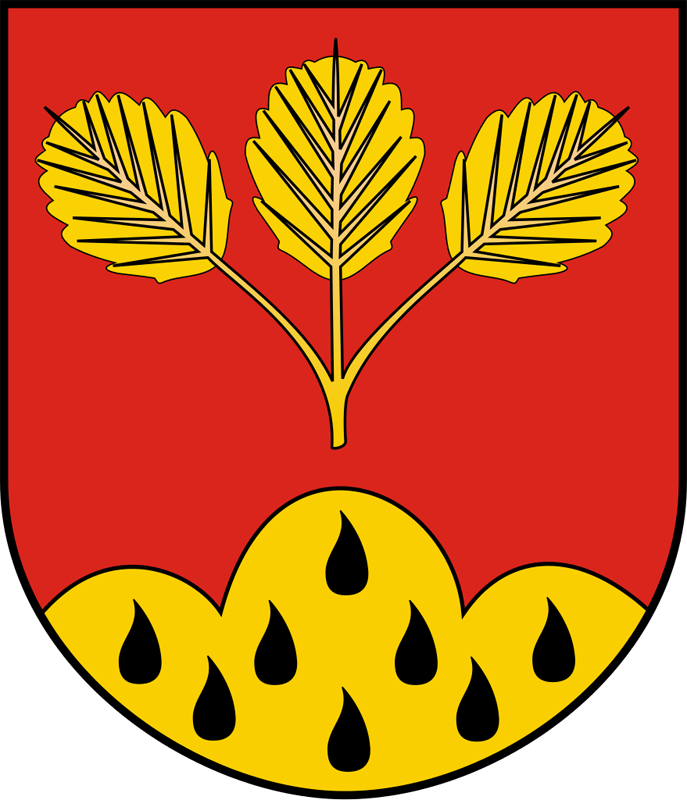 Rada Gminy w Olszanicy